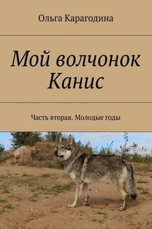 Мой волчонок Канис. Часть вторая. Молодые годы