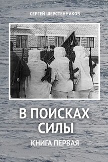 В поисках силы. Книга первая