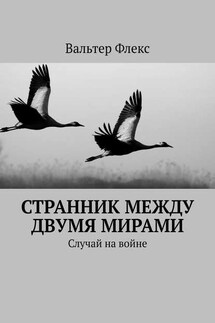 Странник между двумя мирами. Случай на войне