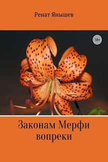 Законам Мерфи вопреки