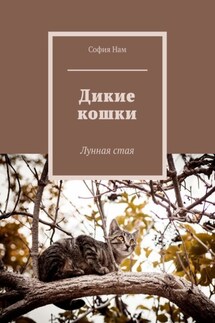 Дикие кошки. Лунная стая