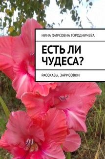 Есть ли чудеса? Рассказы, зарисовки