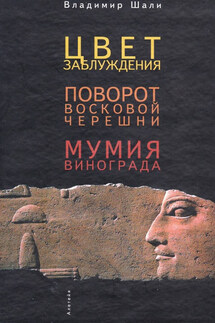 Цвет заблуждения. Поворот Восковой Черешни. Мумия винограда