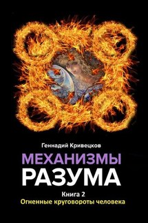 Механизмы разума. Книга 2. Огненные круговороты человека