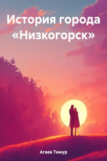 История города «Низкогорск»