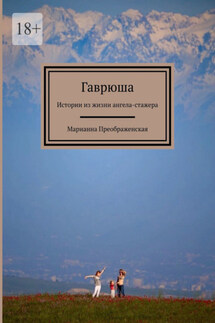 Гаврюша. Истории из жизни ангела-стажера