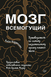 Мозг всемогущий. Путеводитель по самому незаменимому органу нашего тела