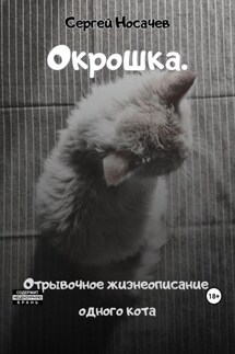 Окрошка. Отрывочное жизнеописание одного кота