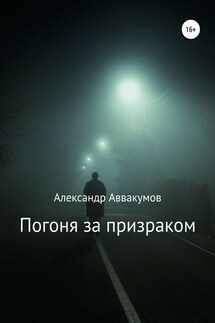 Погоня за призраком