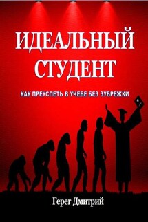 Идеальный студент. Как преуспеть в учебе без зубрежки