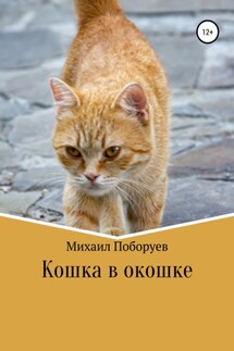 Кошка в окошке