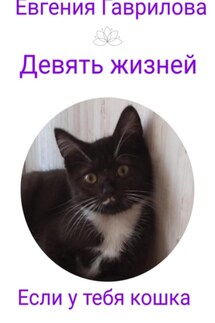 Девять жизней. Если у тебя кошка.