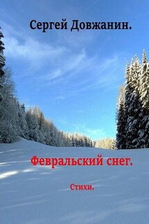 Февральский снег