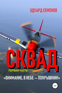 Сквад. Часть 1. «Внимание, в небе Покрышкин!»