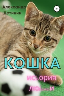 Кошка. История любви