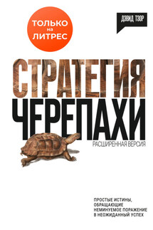 Стратегия черепахи