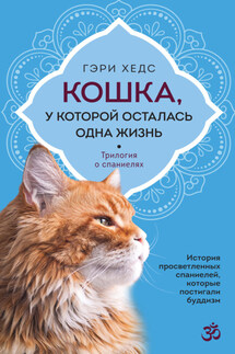 Кошка, у которой осталась одна жизнь