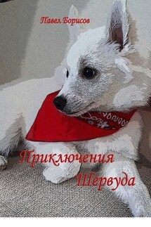 Приключения Шервуда